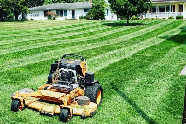 Made2Clean team mowing and edging a lawn in Melbourne