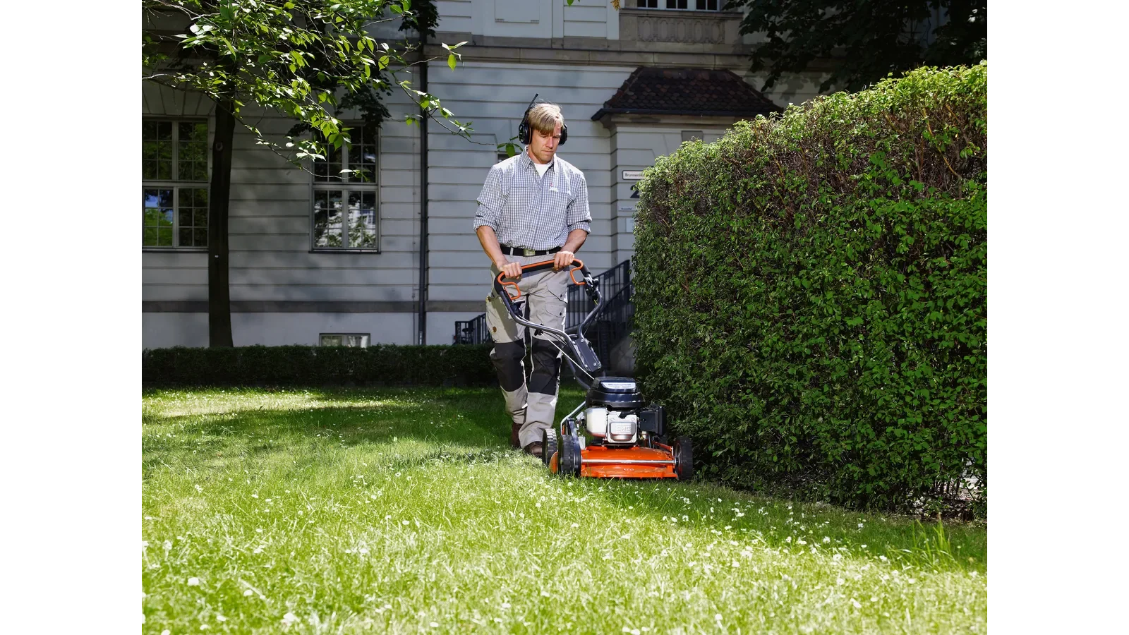 Lawn mowed and edged for a rental handover in Melbourne